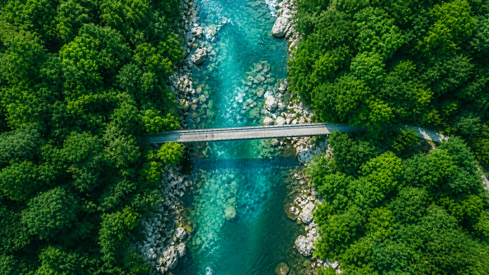 企业愿景